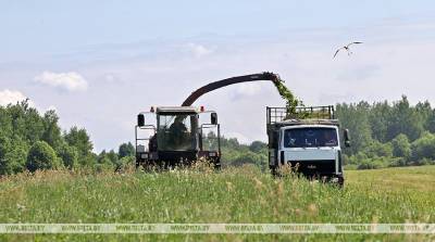 ФОТОФАКТ: Предприятие "Вядерево" в Бешенковичском районе - лидер по заготовке кормов