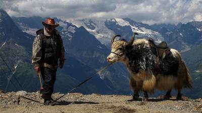 Глава Ростуризма назвала направления развития туризма на Кавказе