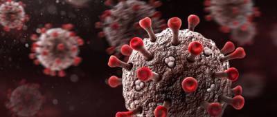 Штамм коронавируса «Дельта» может уже в течение лета создать сильную волну заболеваемости в Украине — ученые