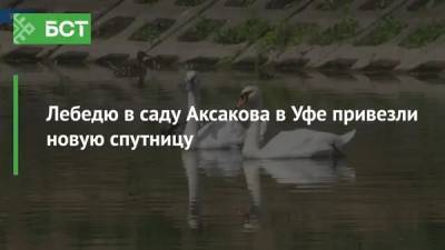 Лебедю в саду Аксакова в Уфе привезли новую спутницу