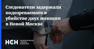 Следователи задержали подозреваемого в убийстве двух женщин в Новой Москве