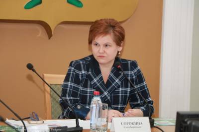 Елена Сорокина прокомментировала ситуацию с ливневой канализацией в Рязани