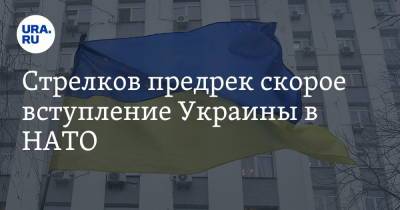 Стрелков предрек скорое вступление Украины в НАТО