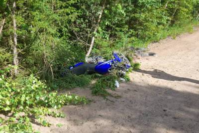 В Плесецком районе 41-летний мотоциклист погиб при столкновении с деревом