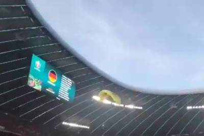 В соцсетях опубликовали видео приземления парашютиста на поле стадиона перед матчем Евро-2020