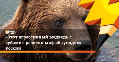 «Этот агрессивный медведь с зубами»: развеян миф об «упадке» России