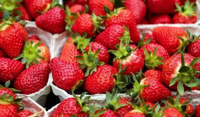 Как тюменцам выбрать вкусные сезонные ягоды