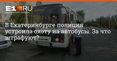 В Екатеринбурге полиция устроила охоту на автобусы. За что штрафуют?