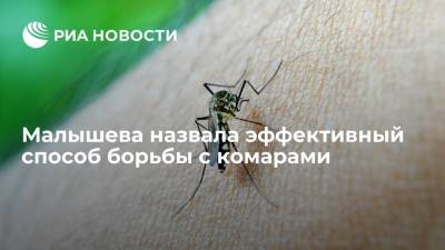 Врач Малышева назвала эффективный способ борьбы с комарами