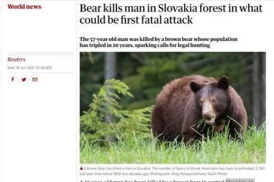 Медведь убил человека в Словакии