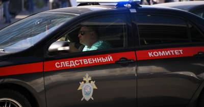 Появились подробности двойного убийства в Новой Москве