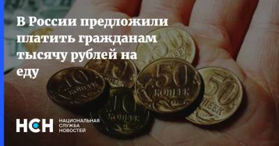 Андрей Сизов - В России предложили платить гражданам тысячу рублей на еду - nsn.fm - Россия