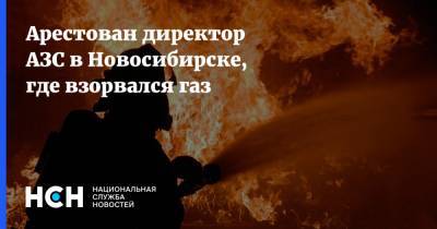 Арестован директор АЗС в Новосибирске, где взорвался газ
