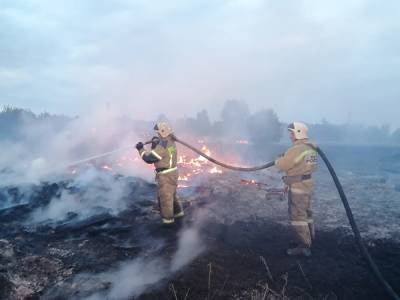 В результате пожара на станции Юрахлы сгорели 10 зданий и 10 гектаров сухой травы - znak.com - Курганская обл.
