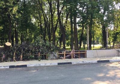 Сопредседатель рязанского штаба ОНФ раскритиковал благоустройство Наташиного парка