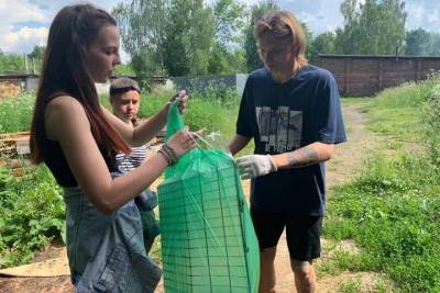 В Серпухове очистили береговую линию озера