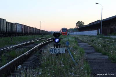 В Тверской области лось погиб на железной дороге после встречи с поездом