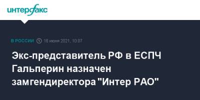 Экс-представитель РФ в ЕСПЧ Гальперин назначен замгендиректора "Интер РАО"