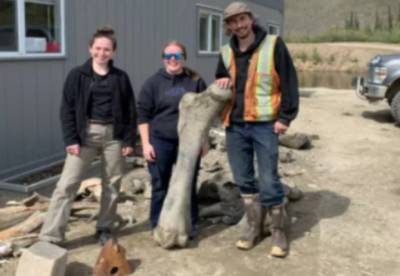В Канаде золотоискатели нашли кости шерстистых мамонтов