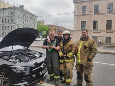 В Санкт-Петербурге спасатели вытащили из-под капота автомобиля котенка — фото