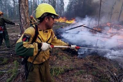 В Кольском районе набирают волонтеров в помощь при тушении пожаров