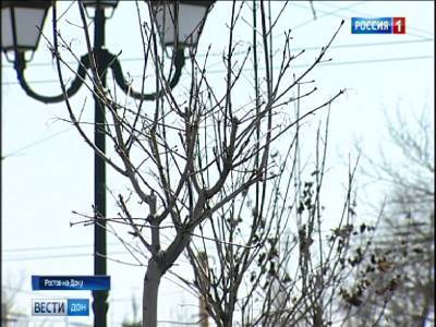 Более миллиарда рублей уйдет на замену уличного освещения Ростова
