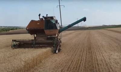 Сотрудники Налоговой "крышуют" незаконные операции зернотрейдеров: «Размер "отмытых" денег составляет более 55 млн грн»
