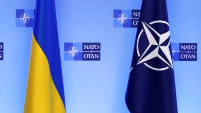Политолог прокомментировал требования НАТО от Украины «большего» для вступления в альянс