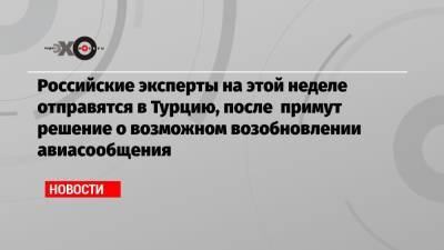 Российские эксперты на этой неделе отправятся в Турцию, после примут решение о возможном возобновлении авиасообщения