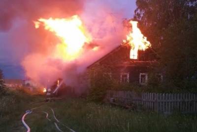 При пожаре в Каргопольском районе погиб мужчина