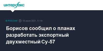Борисов сообщил о планах разработать экспортный двухместный Су-57
