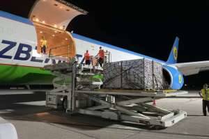 52 тонны узбекской черешни увезли в Южную Корею