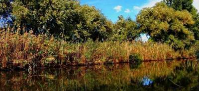 На Кубани создали более 370 особо охраняемых природных территорий
