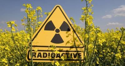 Власти Китая признали повышение уровня радиации на АЭС «Тайшань»