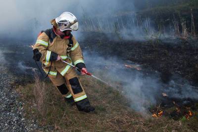 В Якутии усиливают группировку для тушения лесных пожаров