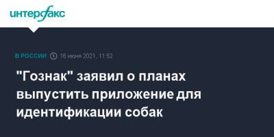 Аркадий Трачук - "Гознак" заявил о планах выпустить приложение для идентификации собак - interfax.ru - Москва - Пермь