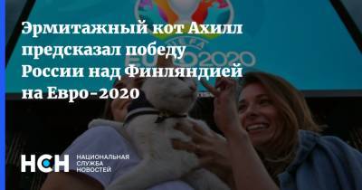 Эрмитажный кот Ахилл предсказал победу России над Финляндией на Евро-2020