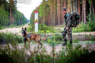 На границе Литвы и Белоруссии после 3-дневного перерыва вновь поймали нелегалов