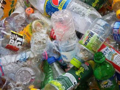Пластиковые бутылки были превращены в ванилин с помощью бактерий