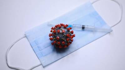 В НИИ гриппа заявили об успешном формировании антител у привитых "Спутником V"