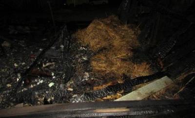 Погибли животные: в Тюменской области любовник поджег хозяйственные постройки супругов