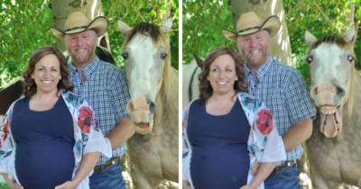 Пара хотела милую беременную фотосессию с лошадьми, а вышла комедия. Ведь один конь решил, что он — модель
