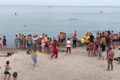 Пляжи на Черном море стали опасными для здоровья: где запретили временно купаться