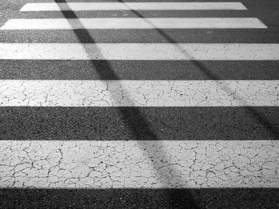 На водителя автобуса, задавившего ребенка на «зебре» в Химках, завели уголовное дело
