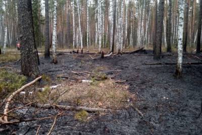 В Марий Эл произошло уже 16 лесных пожаров