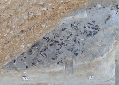 Найдена стоянка, где впервые встретились сапиенсы и неандертальцы
