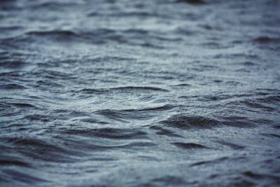 Тела молодой пары, утонувшей на озере Кучмозеро в Карелии, обнаружили