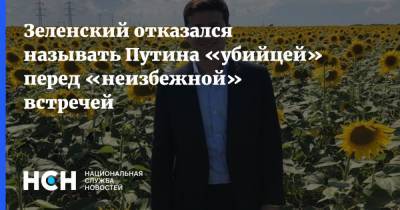 Зеленский отказался называть Путина «убийцей» перед «неизбежной» встречей