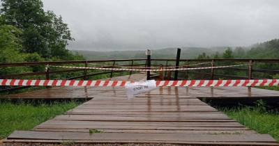 Придавило досками и упавшими людьми: при обрушении площадки в Краснолесье одна из туристок сломала ногу