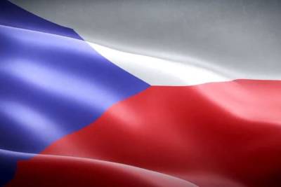 В Чехии чиновнику пригрозили наказанием за пророссийский комментарий